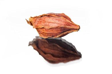 《流放之路》最近更新大获成功 Steam峰值接近23万人